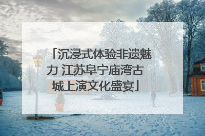 沉浸式体验非遗魅力 江苏阜宁庙湾古城上演文化盛宴